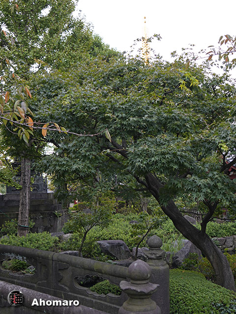 写真00