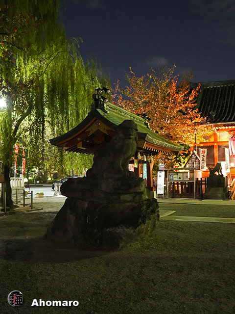写真00