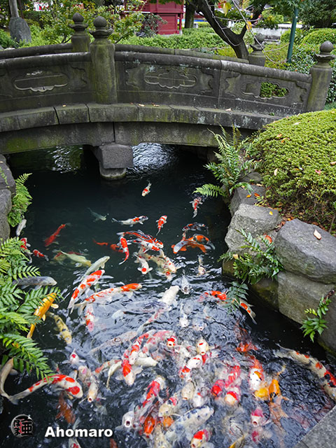 写真00