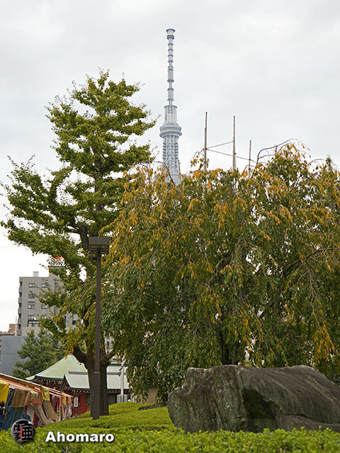 写真00