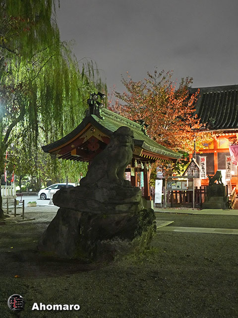 写真00