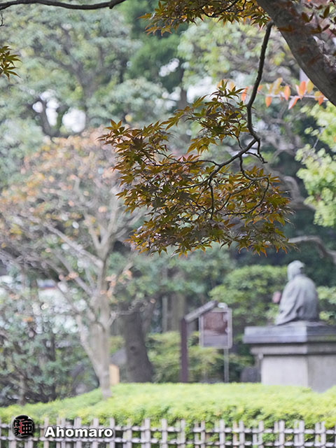 写真00