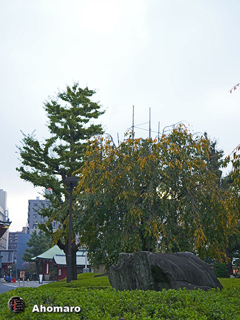 写真00