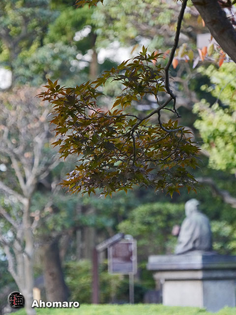 写真00