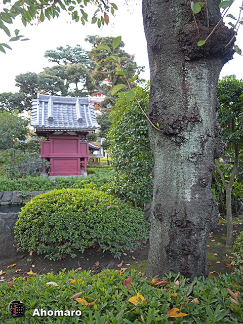 写真00