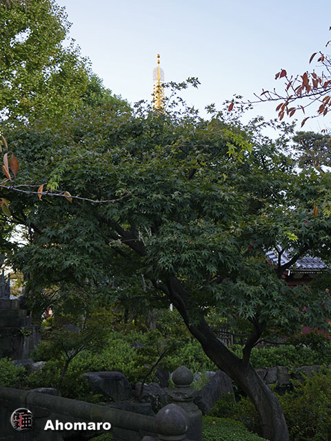 写真00