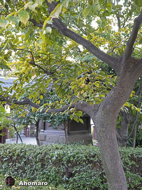 写真00