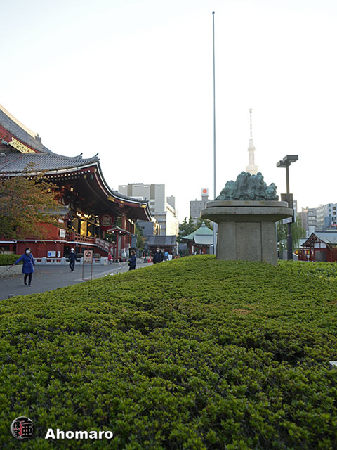 写真00