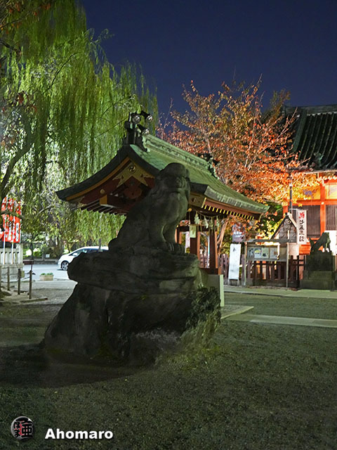 写真00