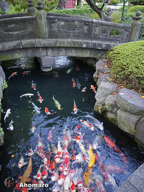 写真00