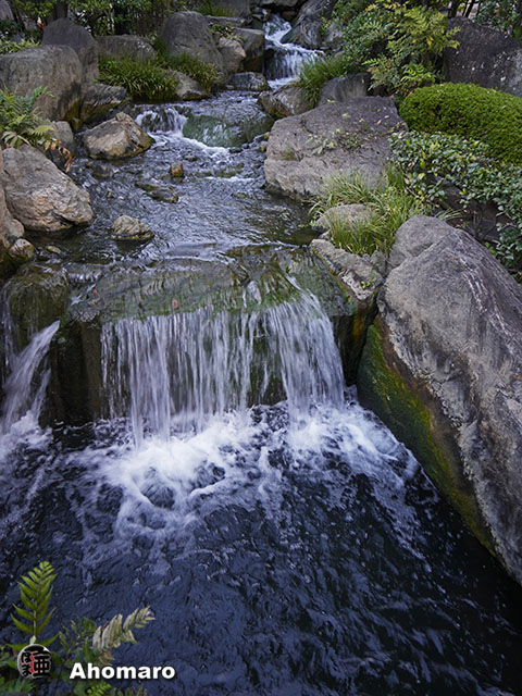 写真00
