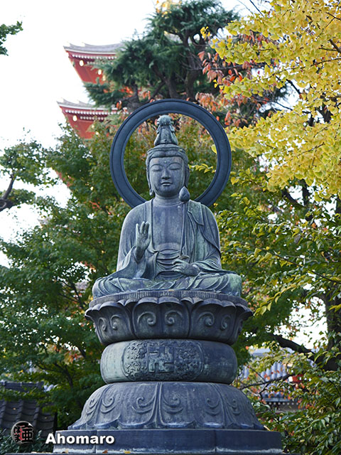 写真00