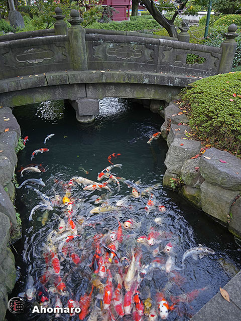 写真00