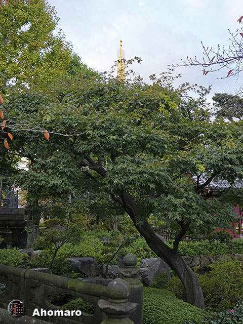 写真00