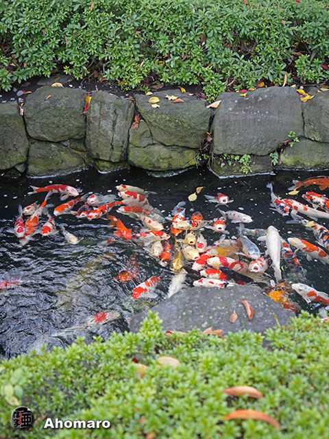 写真00