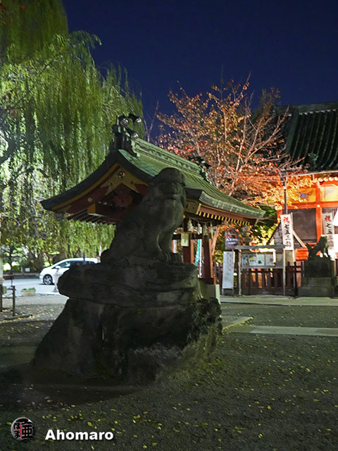 写真00