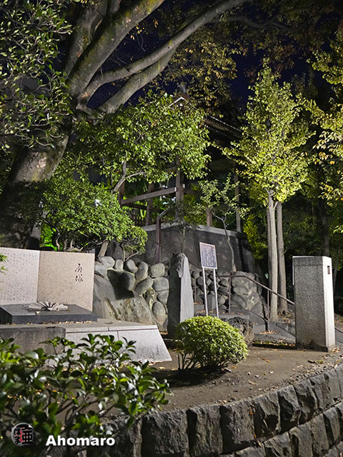 写真00