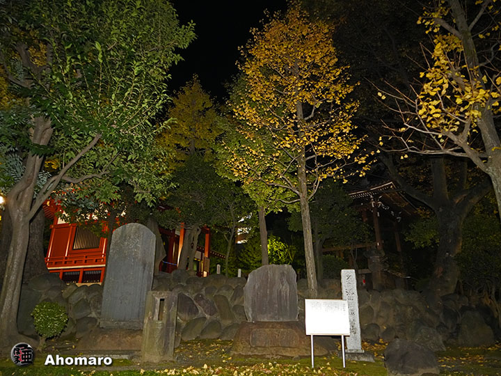 写真00
