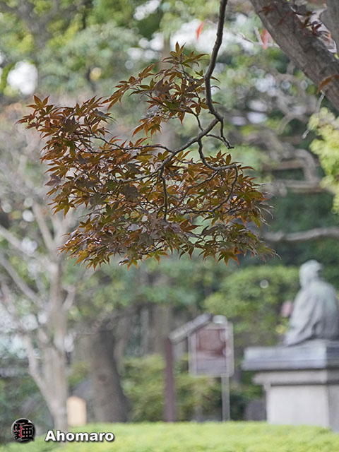 写真00