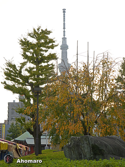 写真00