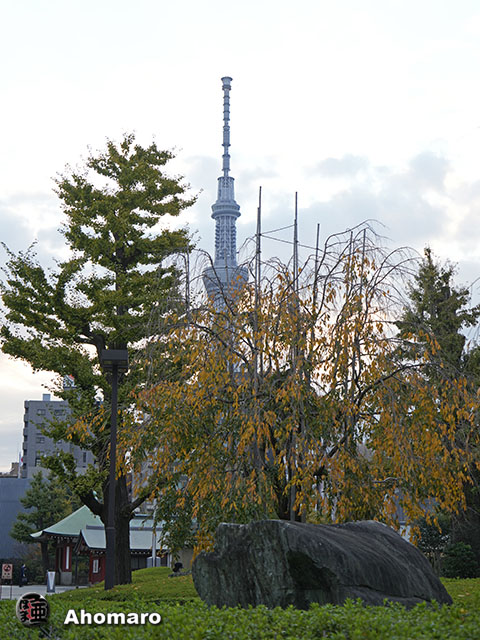 写真00