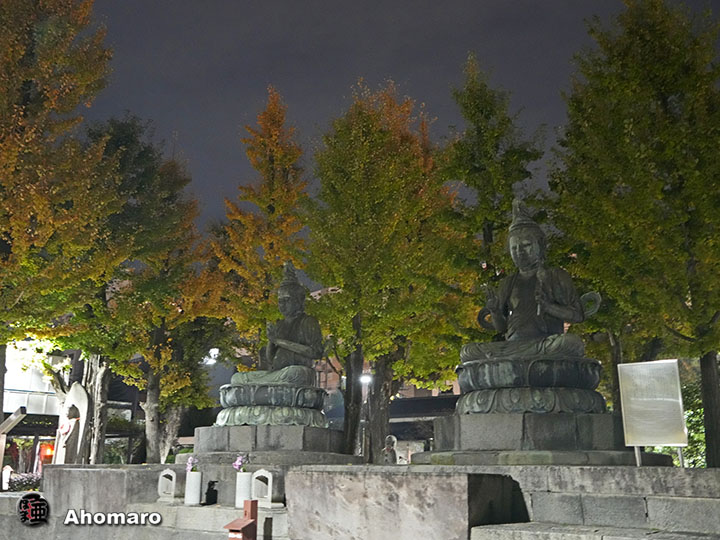 写真00