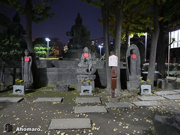 写真00