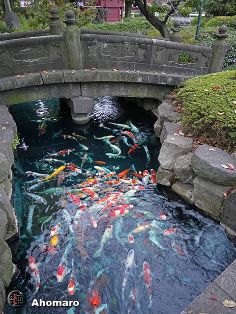 写真00
