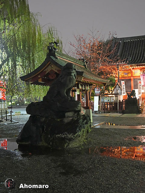 写真00