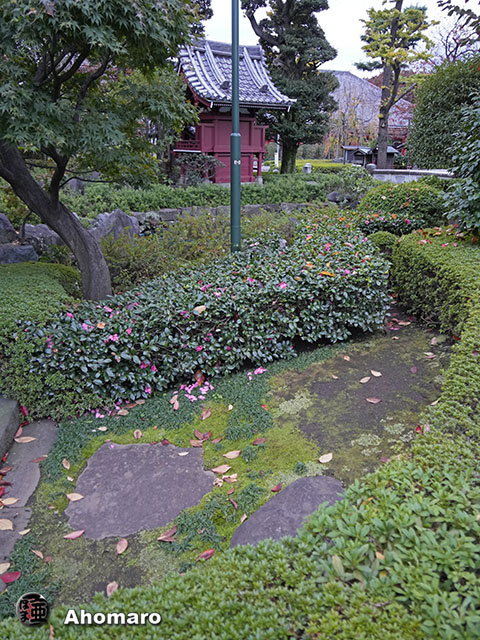 写真00