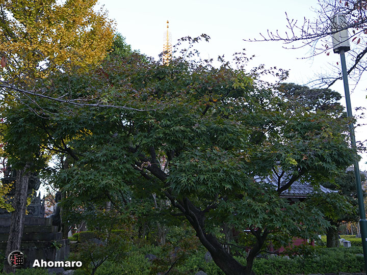 写真00