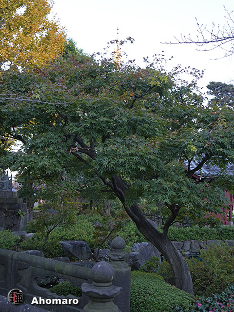 写真00