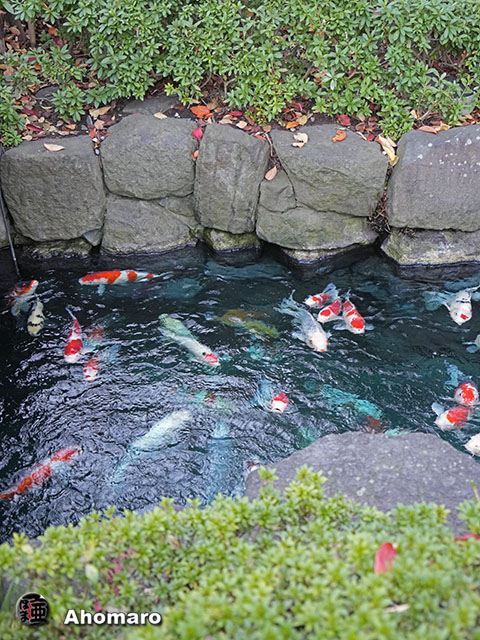 写真00