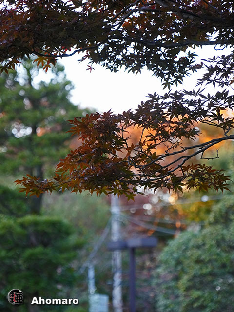 写真00