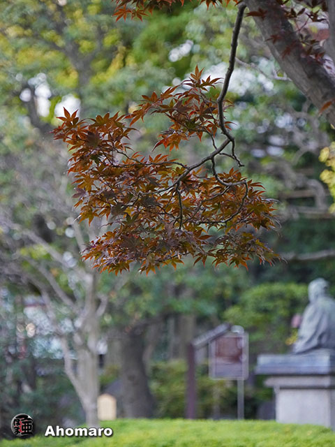写真00