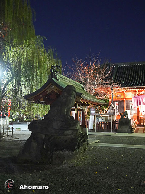写真00