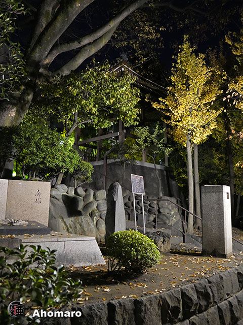写真00