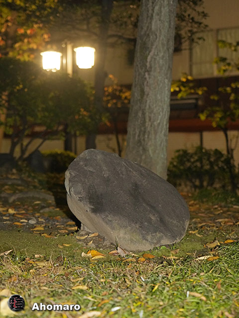 写真00