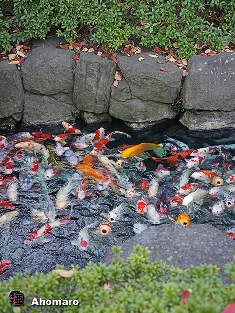 写真00