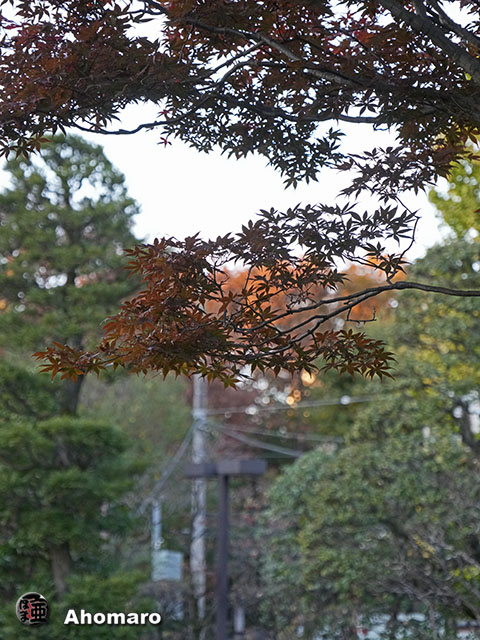 写真00