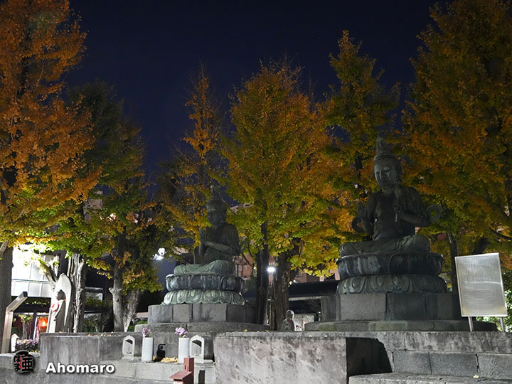 写真00