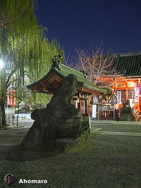 写真00