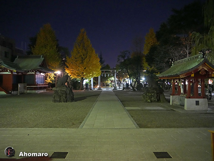 写真00