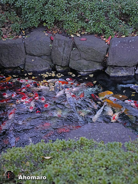 写真00