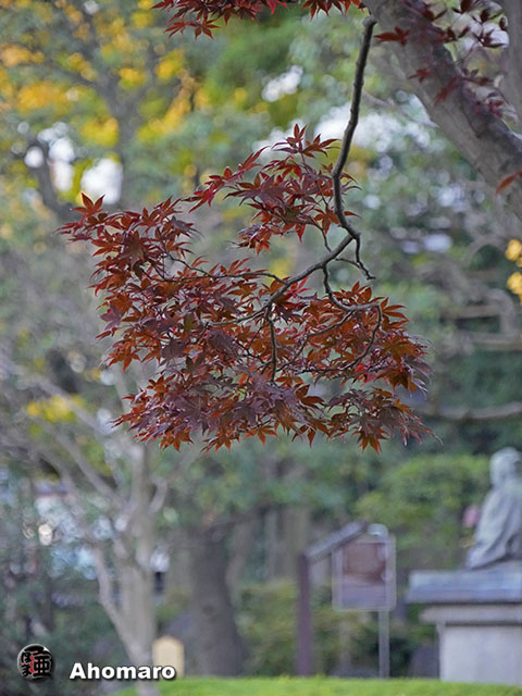 写真00