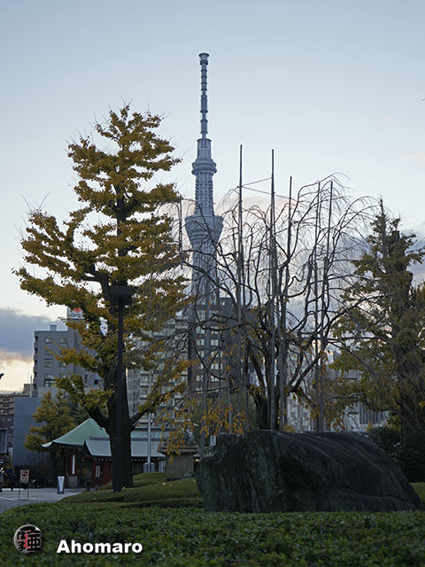 写真00