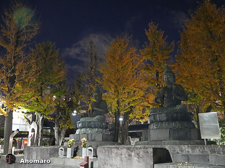 写真00