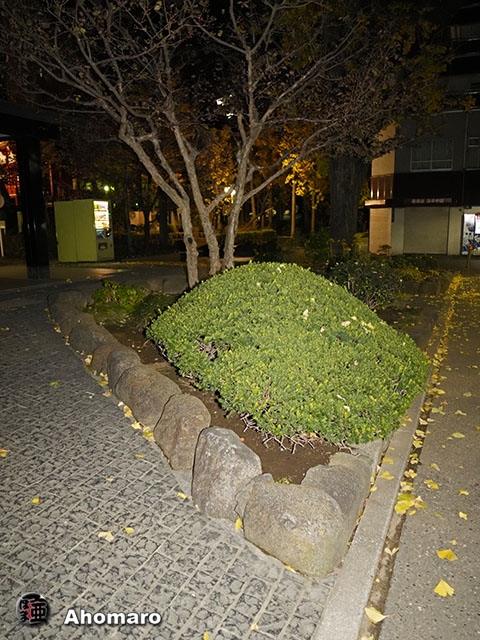 写真00