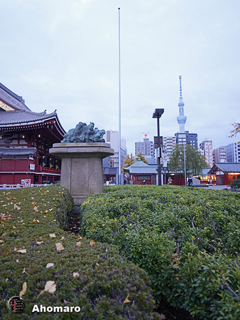 写真00