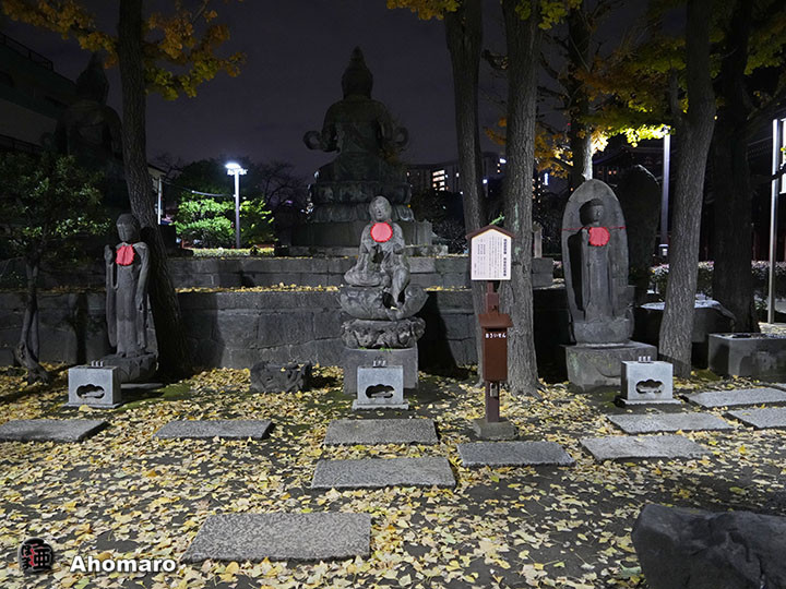 写真00